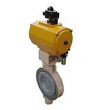 Titanium wafer type butterfly valve